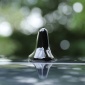 1PCS ABS Shark Fin Car Antenna Cover Trim For Toyota RAV4 2019 2020 2021 2022 2023 2024 2025